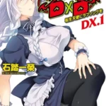 Старшая школа DxD New OVA